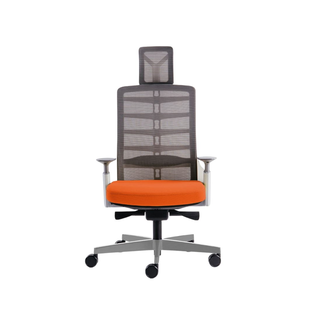 Ghế công thái học Ergo Kid C3