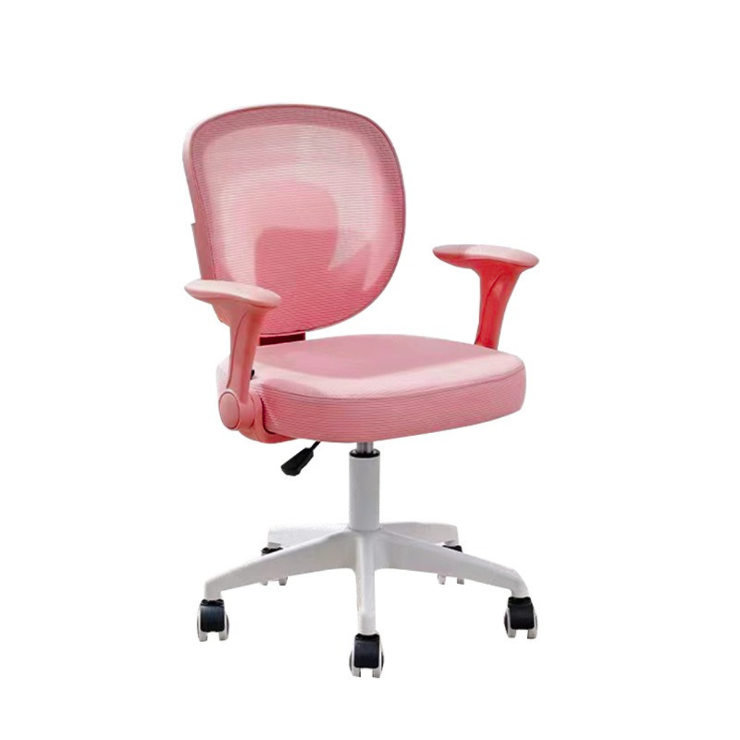 Jonior Ergo B3