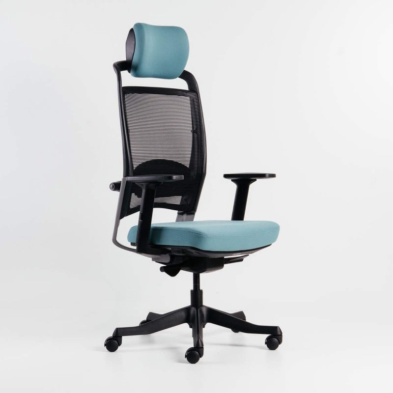 Ghế công thái học Ergo Kid C2