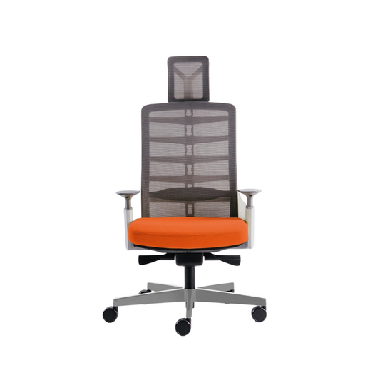 Ghế công thái học Ergo Kid C3