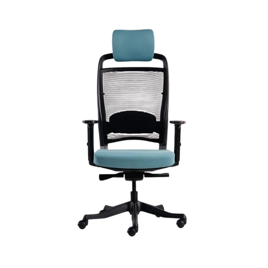 Ghế công thái học Ergo Kid C2