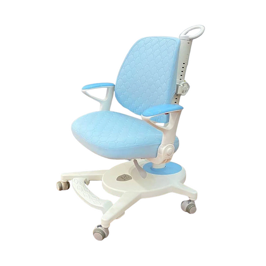 Kiddy Ergo A2